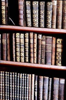 Shelves of books with decorated bindings ... an irresistible sight to bibliophiles (aka book lovers)!